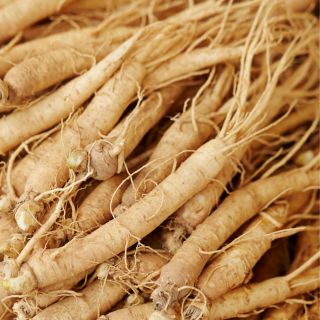 Estratto di Ginseng