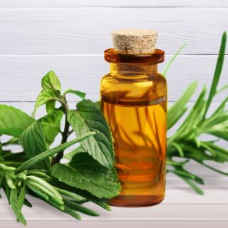 Olio di Tea Tree